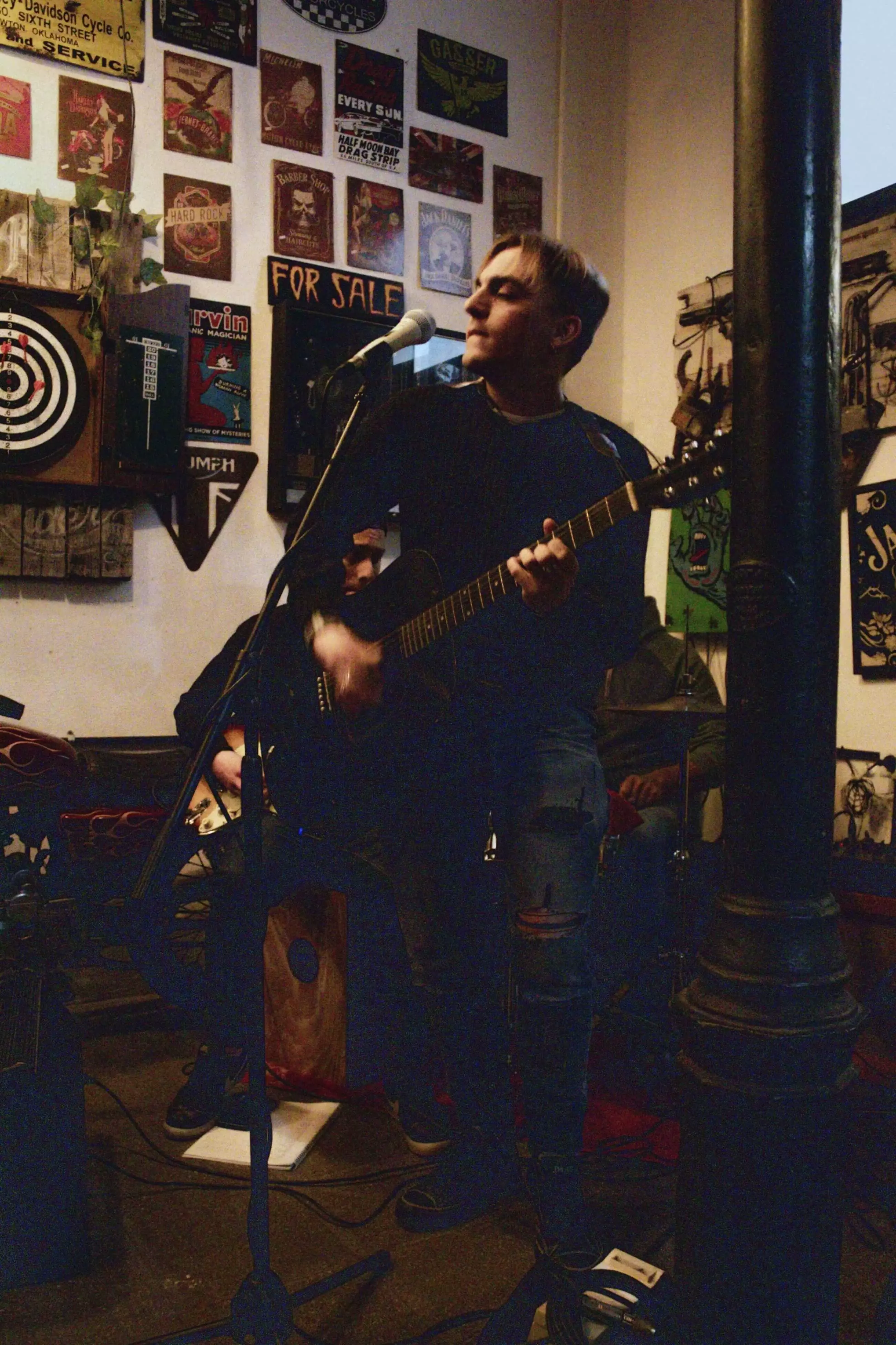 terra perfil acustico